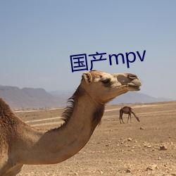 国产mpv