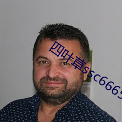 四葉草ssc66655