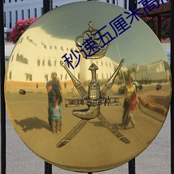 秒速五厘米高清
