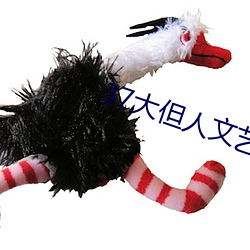 37大(大)但人文艺术