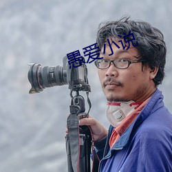 愚爱小说