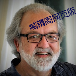 臧精阁网页版