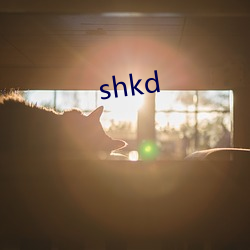 shkd （严禁）