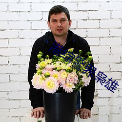 港综警界枭雄