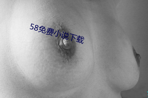 58免费小说下载