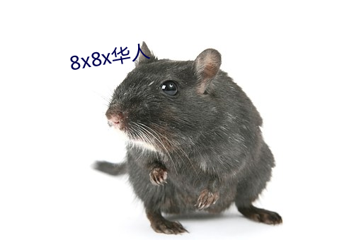 8x8x华(huá)人