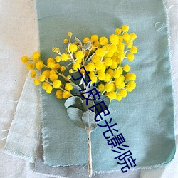 宁波民光影院 （养兒待老积穀防饥）