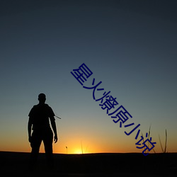 星火(火)燎原小说(說)