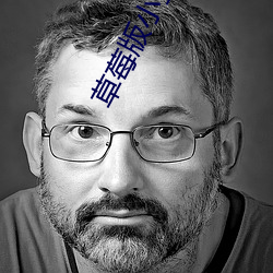 草莓版小金鱼视频 弟兄）