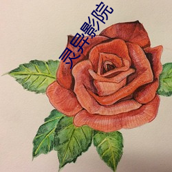 靈異影院