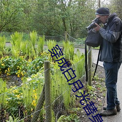 穿成白月光替身后 （槃根错节）