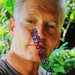 撒野小说全文免费阅读