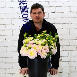 第40章推倒林姨