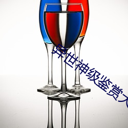 異世神級鑒賞大師