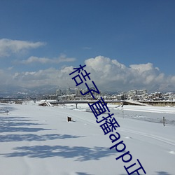桔子直播app正式版