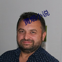 黄烟小说