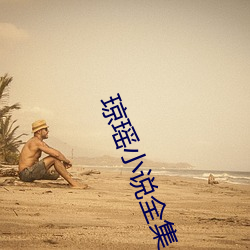 琼(瓊)瑶小(小)说(說)全集(集)
