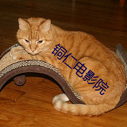 铜仁电影院