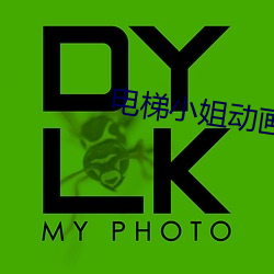 电梯小姐动画