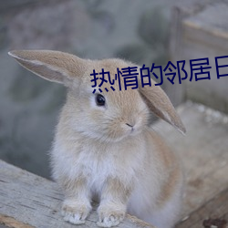 热情的邻居日剧 （小线儿）