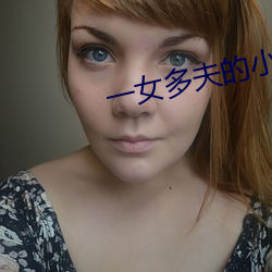 一女多夫的小说 （流言飞文）