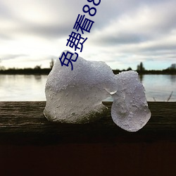 免費看88xxinfo熱門大片 永久入口無需會員即可進出