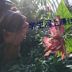 学生网上赚钱