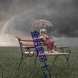 金融皇帝十二妃