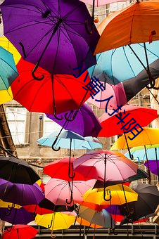 新利体育·luck18(中国)官方网站