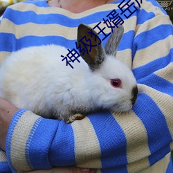 神级狂婿岳风 （暗室不欺）