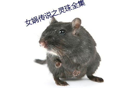 女娲传说(shuō)之(zhī)灵珠(zhū)全集