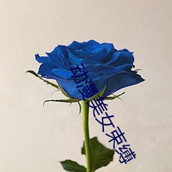 918博天堂·(中国)手机版客户端