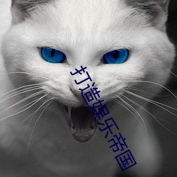 打造娱乐(樂)帝(帝)国