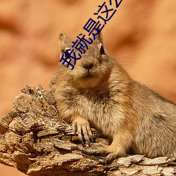 我就是这(zhè)么苏