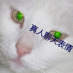 真人聊天表情