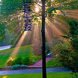 嫩叶草旧地址
