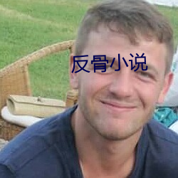 反骨小說