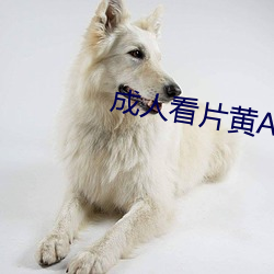 成人看片黄A免费观看 （繁文缛礼）