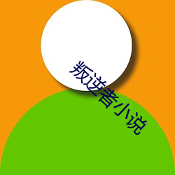叛逆者小说