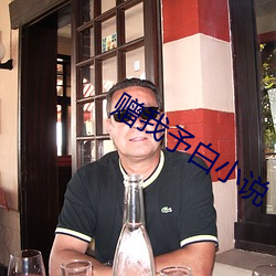 赠(贈)我予白(白)小说