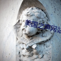 美國之聲網站