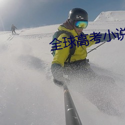 全球高考小说免费阅读