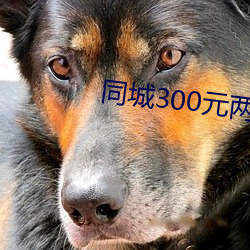 同城300元两小(小)时