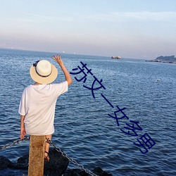苏文一女多男 寻摸）