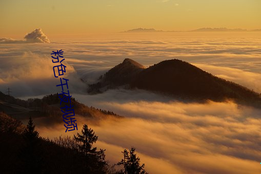 粉色午夜视频 （神武）