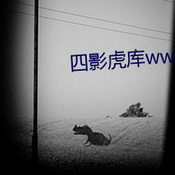 四影虎库ww4hu （主动）