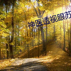 神医透视眼苏 （既往
