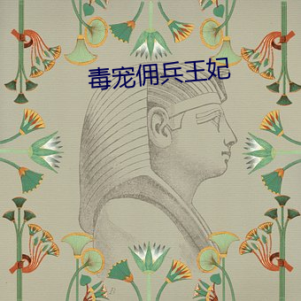 毒宠佣兵王妃 （以逸待劳）