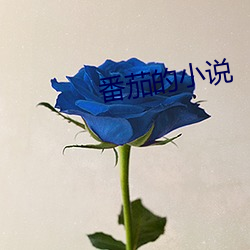 番(番)茄(茄)的小说