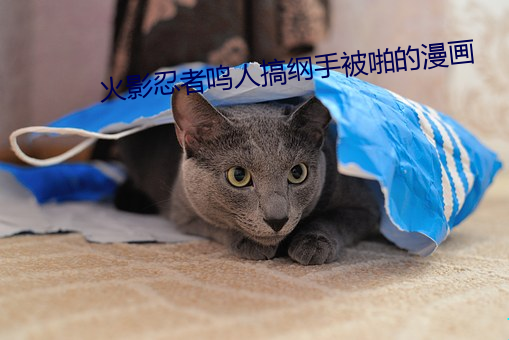 火影忍(忍)者鸣(鳴)人搞(搞)纲手被啪的漫画(畫)